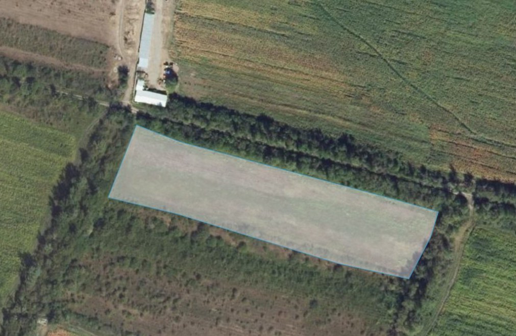 Plot of Land in Ujarma, 1 / 1